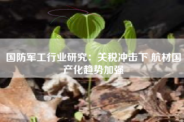 国防军工行业研究：关税冲击下 航材国产化趋势加强