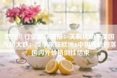 燃气Ⅱ行业跟踪周报：关税扰动下美国气价大跌；淡季来临欧洲&中国气价回落 国内外价格倒挂结束