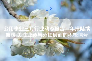 公用事业三月行业动态报告：年报陆续披露 关注业绩与分红层面的积极信号