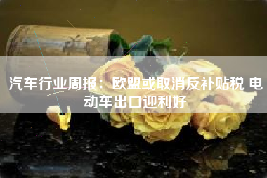 汽车行业周报：欧盟或取消反补贴税 电动车出口迎利好
