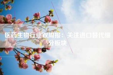 医药生物行业双周报：关注进口替代细分板块