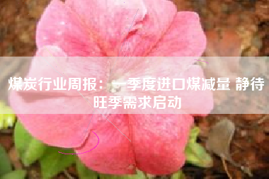 煤炭行业周报：一季度进口煤减量 静待旺季需求启动