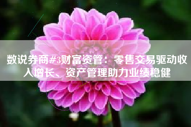 数说券商#3财富资管：零售交易驱动收入增长、资产管理助力业绩稳健