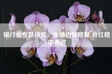银行业专题研究：业绩边际修复 分红稳中有进