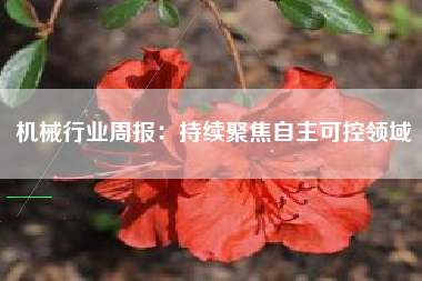 机械行业周报：持续聚焦自主可控领域