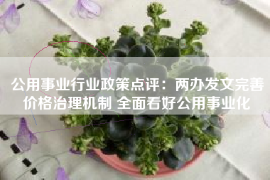 公用事业行业政策点评：两办发文完善价格治理机制 全面看好公用事业化