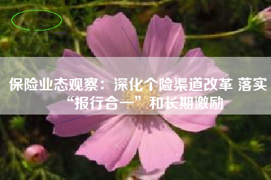保险业态观察：深化个险渠道改革 落实“报行合一”和长期激励
