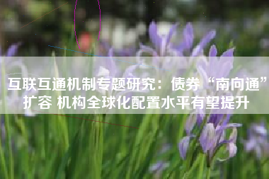 互联互通机制专题研究：债券“南向通”扩容 机构全球化配置水平有望提升