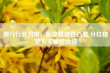银行行业月报：板块稳健性凸显 分红稳定夯实股息价值
