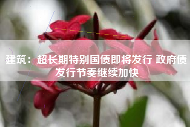 建筑：超长期特别国债即将发行 政府债发行节奏继续加快