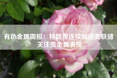 有色金属周报：特朗普连续喊话美联储 关注贵金属表现