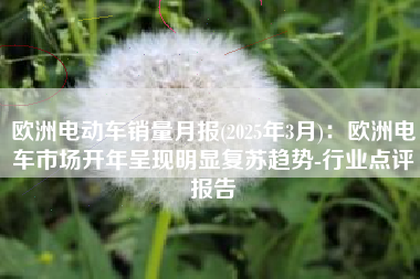 欧洲电动车销量月报(2025年3月)：欧洲电车市场开年呈现明显复苏趋势-行业点评报告