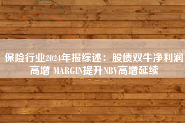 保险行业2024年报综述：股债双牛净利润高增 MARGIN提升NBV高增延续