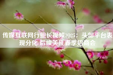 传媒互联网行业长视频1Q25：头部平台表现分化 后续关注春季招商会