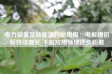 电力设备及新能源行业周报：电解槽招标持续增长 下游应用领域逐步拓展