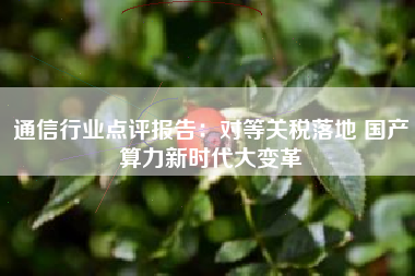 通信行业点评报告：对等关税落地 国产算力新时代大变革