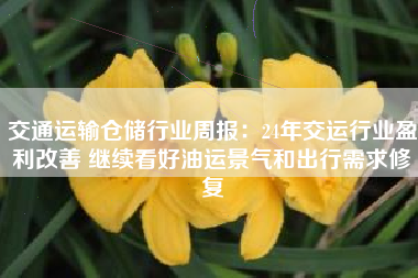 交通运输仓储行业周报：24年交运行业盈利改善 继续看好油运景气和出行需求修复