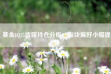 基金1Q25传媒持仓分析：板块偏好小幅提升
