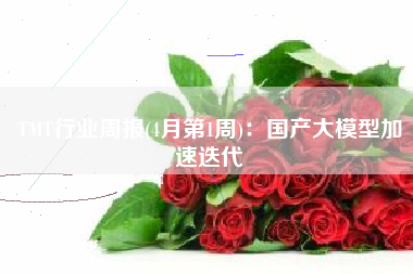 TMT行业周报(4月第1周)：国产大模型加速迭代