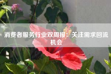消费者服务行业双周报：关注需求回流机会