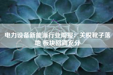 电力设备新能源行业周报：关税靴子落地 板块回调充分