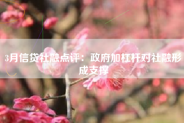 3月信贷社融点评：政府加杠杆对社融形成支撑