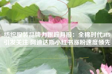 纺织服装品牌力跟踪月报：全棉时代315引发关注 阿迪达斯小红书涨粉速度领先