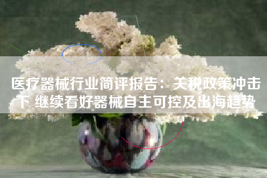 医疗器械行业简评报告：关税政策冲击下 继续看好器械自主可控及出海趋势