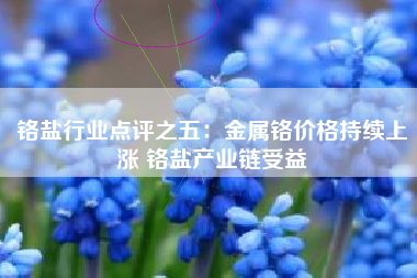 铬盐行业点评之五：金属铬价格持续上涨 铬盐产业链受益