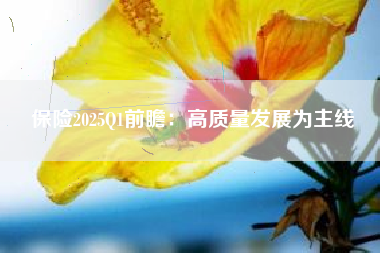 保险2025Q1前瞻：高质量发展为主线