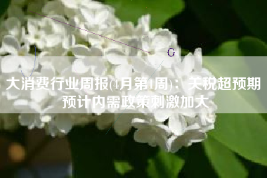大消费行业周报(4月第1周)：关税超预期 预计内需政策刺激加大