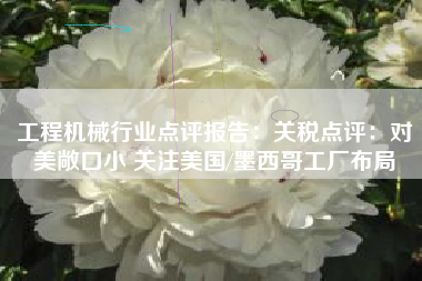 工程机械行业点评报告：关税点评：对美敞口小 关注美国/墨西哥工厂布局