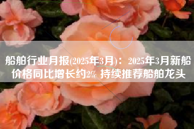 船舶行业月报(2025年3月)：2025年3月新船价格同比增长约2% 持续推荐船舶龙头