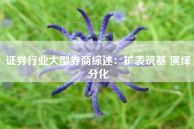 证券行业大型券商综述：扩表筑基 演绎分化