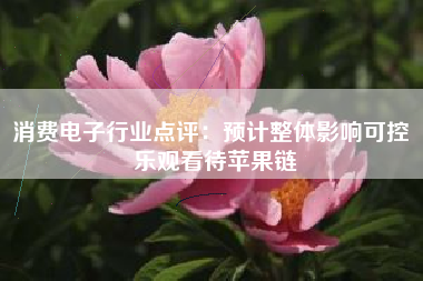 消费电子行业点评：预计整体影响可控 乐观看待苹果链
