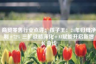 商贸零售行业点评：孩子王：24年归母净利+72% 三扩战略深化+AI赋能开启新增长曲线