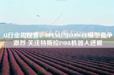 AI行业周观察：OPENAI与GOOGLE模型竞争激烈 关注特斯拉FSD&机器人进展