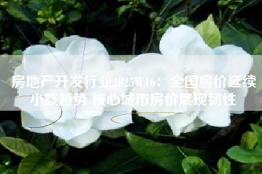 房地产开发行业2025W16：全国房价延续小跌趋势 核心城市房价展现韧性