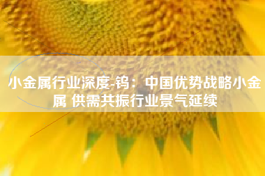 小金属行业深度-钨：中国优势战略小金属 供需共振行业景气延续