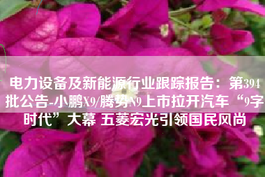 电力设备及新能源行业跟踪报告：第394批公告-小鹏X9/腾势N9上市拉开汽车“9字时代”大幕 五菱宏光引领国民风尚
