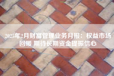 2025年2月财富管理业务月报：权益市场回暖 期待长期资金提振信心