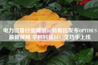 电力设备行业周报：特斯拉发布OPTIMUS最新视频 宇树科技DEX5灵巧手上线