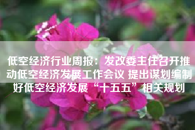 低空经济行业周报：发改委主任召开推动低空经济发展工作会议 提出谋划编制好低空经济发展“十五五”相关规划