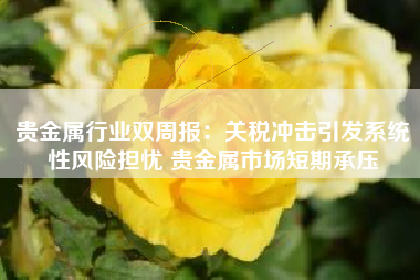 贵金属行业双周报：关税冲击引发系统性风险担忧 贵金属市场短期承压