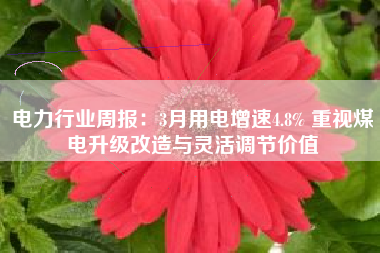 电力行业周报：3月用电增速4.8% 重视煤电升级改造与灵活调节价值