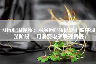 AI行业周观察：服务器ESSD仍处于库存调整阶段 二月消费电子表现良好