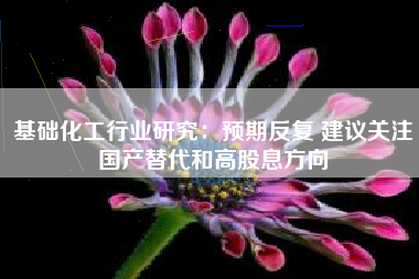 基础化工行业研究：预期反复 建议关注国产替代和高股息方向