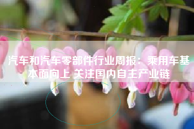 汽车和汽车零部件行业周报：乘用车基本面向上 关注国内自主产业链
