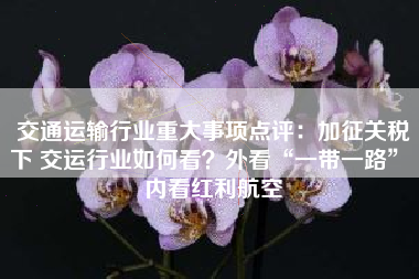 交通运输行业重大事项点评：加征关税下 交运行业如何看？外看“一带一路” 内看红利航空