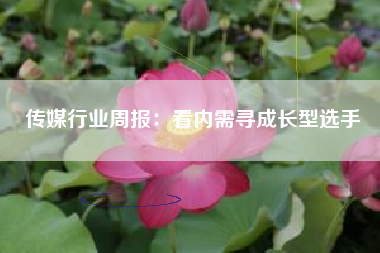 传媒行业周报：看内需寻成长型选手